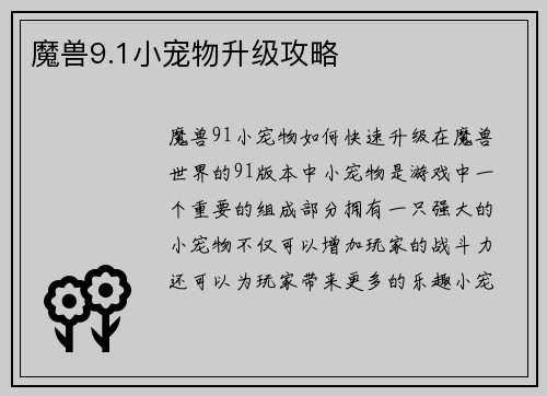 魔兽9.1小宠物升级攻略